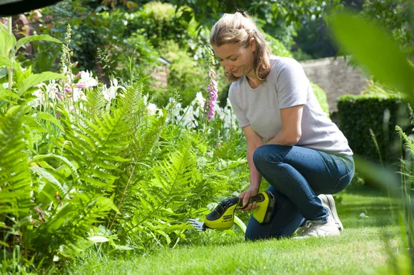 Person schneidet Pflanzen mit Gartenschere
